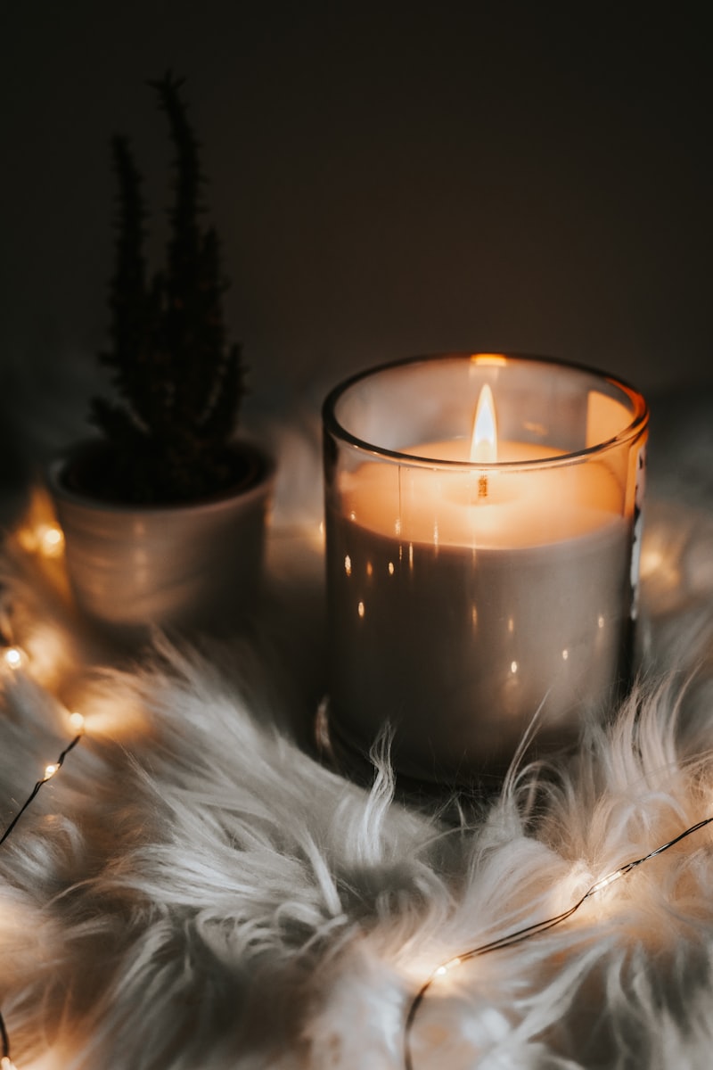Luxury Scented Soy Candles (Set of 3)